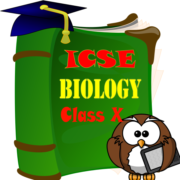 Android Application 1