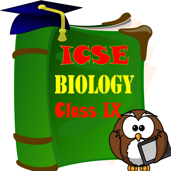 Android Application 6